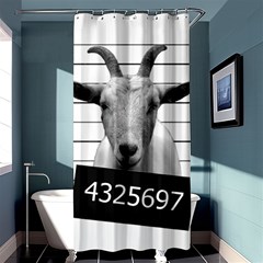 Criminal Goat  Shower Curtain 36  X 72  (stall)  by Valentinaart