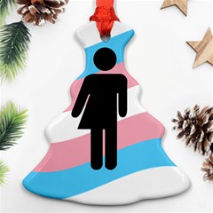 Transgender  Christmas Tree Ornament (two Sides) by Valentinaart