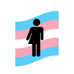 Transgender  Shower Curtain 48  X 72  (small)  by Valentinaart