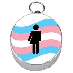 Transgender  Silver Compasses by Valentinaart