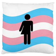 Transgender  Standard Flano Cushion Case (two Sides) by Valentinaart