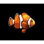 Clown fish Deluxe Canvas 14  x 11  14  x 11  x 1.5  Stretched Canvas