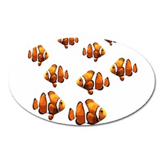 Clown Fish Oval Magnet