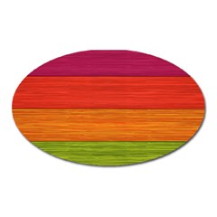 Wooden Plate Color Purple Red Orange Green Blue Oval Magnet by Mariart