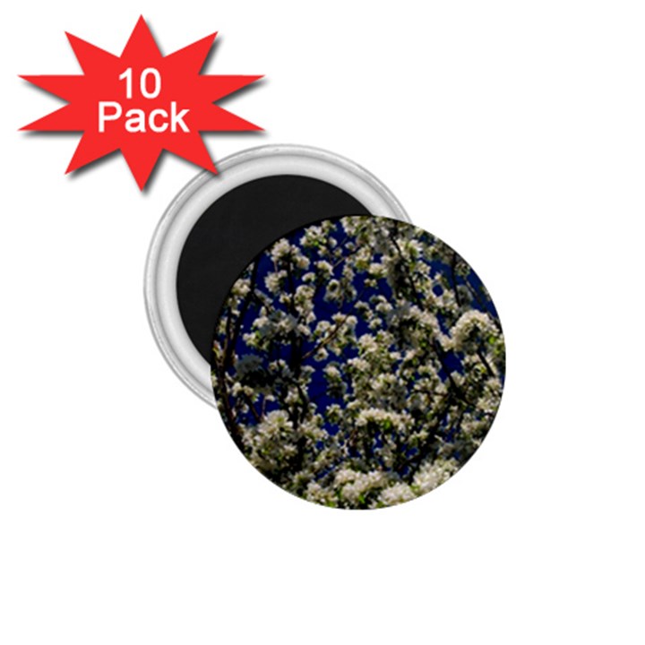 Floral Skies 1.75  Magnets (10 pack) 