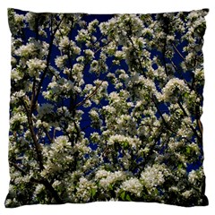 Floral Skies Large Cushion Case (one Side) by dawnsiegler