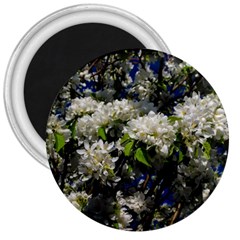 Floral Skies 2 3  Magnets