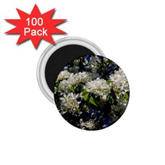 Floral Skies 2 1 75  Magnets (100 Pack)  by dawnsiegler