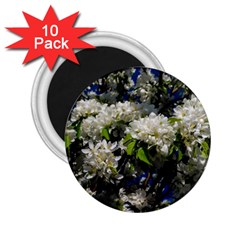 Floral Skies 2 2.25  Magnets (10 pack) 