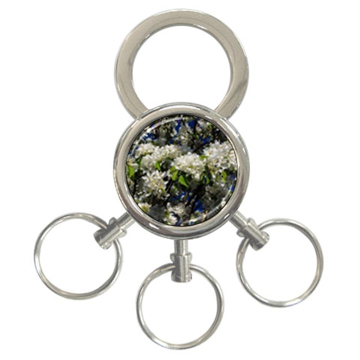 Floral Skies 2 3-Ring Key Chains