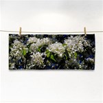 Floral Skies 2 Cosmetic Storage Cases Front