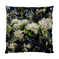 Floral Skies 2 Standard Cushion Case (One Side)