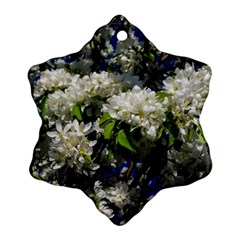 Floral Skies 2 Ornament (snowflake)