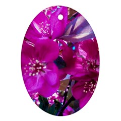 Pretty In Fuchsia Ornament (oval) by dawnsiegler