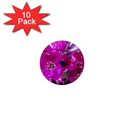 Pretty In Fuchsia 1  Mini Magnet (10 pack) 