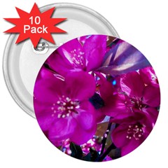 Pretty In Fuchsia 3  Buttons (10 Pack)  by dawnsiegler