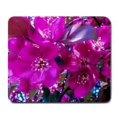 Pretty In Fuchsia Large Mousepads