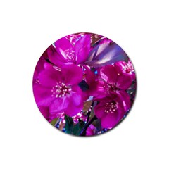 Pretty In Fuchsia Rubber Round Coaster (4 Pack)  by dawnsiegler