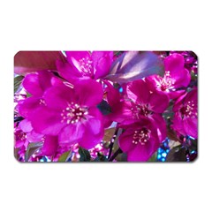 Pretty In Fuchsia Magnet (rectangular) by dawnsiegler