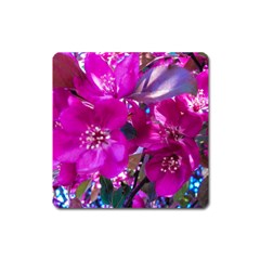 Pretty In Fuchsia Square Magnet by dawnsiegler