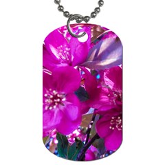 Pretty In Fuchsia Dog Tag (one Side) by dawnsiegler