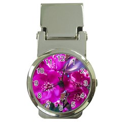 Pretty In Fuchsia Money Clip Watches