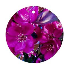 Pretty In Fuchsia Round Ornament (two Sides) by dawnsiegler