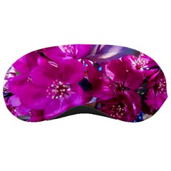 Pretty In Fuchsia Sleeping Masks