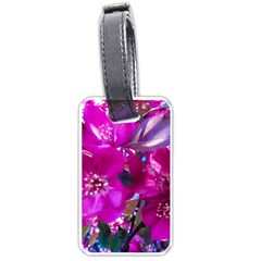 Pretty In Fuchsia Luggage Tags (one Side) 