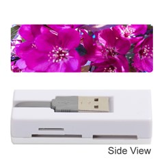 Pretty In Fuchsia Memory Card Reader (stick) 