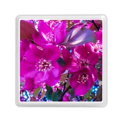 Pretty In Fuchsia Memory Card Reader (Square) 