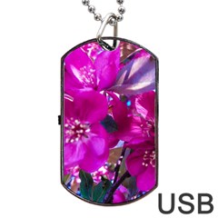 Pretty In Fuchsia Dog Tag Usb Flash (two Sides)