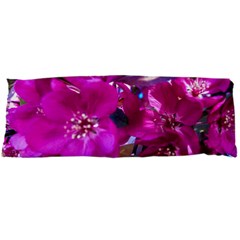 Pretty In Fuchsia Body Pillow Case Dakimakura (two Sides)