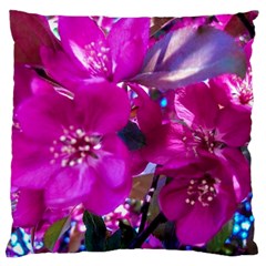 Pretty In Fuchsia Large Cushion Case (one Side)