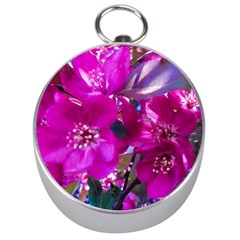 Pretty In Fuchsia Silver Compasses by dawnsiegler