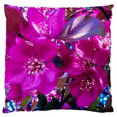 Pretty In Fuchsia Standard Flano Cushion Case (one Side) by dawnsiegler