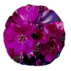 Pretty In Fuchsia Large 18  Premium Flano Round Cushions by dawnsiegler