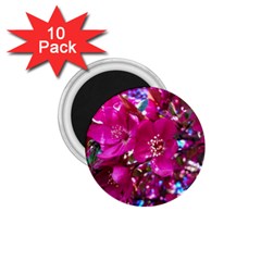 Pretty In Fuchsia 2 1 75  Magnets (10 Pack)  by dawnsiegler