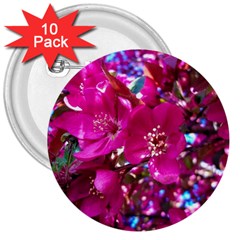 Pretty In Fuchsia 2 3  Buttons (10 Pack)  by dawnsiegler