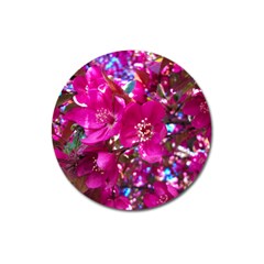 Pretty In Fuchsia 2 Magnet 3  (round) by dawnsiegler