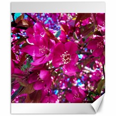 Pretty In Fuchsia 2 Canvas 8  X 10  by dawnsiegler