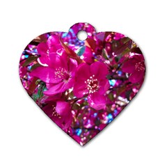 Pretty In Fuchsia 2 Dog Tag Heart (two Sides) by dawnsiegler