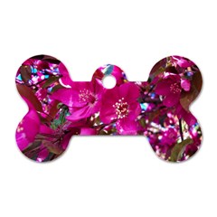 Pretty In Fuchsia 2 Dog Tag Bone (two Sides) by dawnsiegler