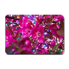 Pretty In Fuchsia 2 Small Doormat  by dawnsiegler