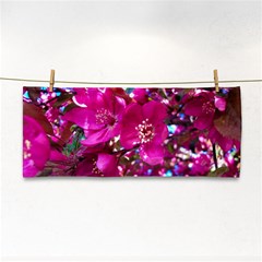 Pretty In Fuchsia 2 Cosmetic Storage Cases by dawnsiegler