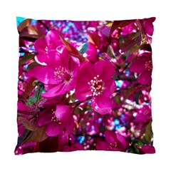 Pretty In Fuchsia 2 Standard Cushion Case (one Side) by dawnsiegler