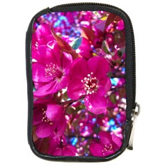 Pretty In Fuchsia 2 Compact Camera Cases by dawnsiegler