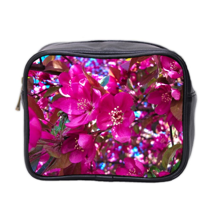 Pretty In Fuchsia 2 Mini Toiletries Bag 2-Side