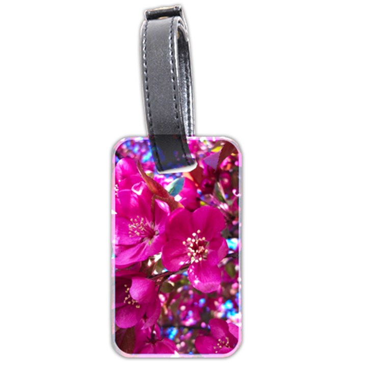 Pretty In Fuchsia 2 Luggage Tags (Two Sides)