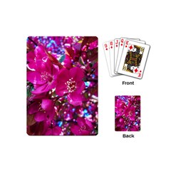 Pretty In Fuchsia 2 Playing Cards (mini)  by dawnsiegler